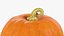 Colección Calabazas V4
