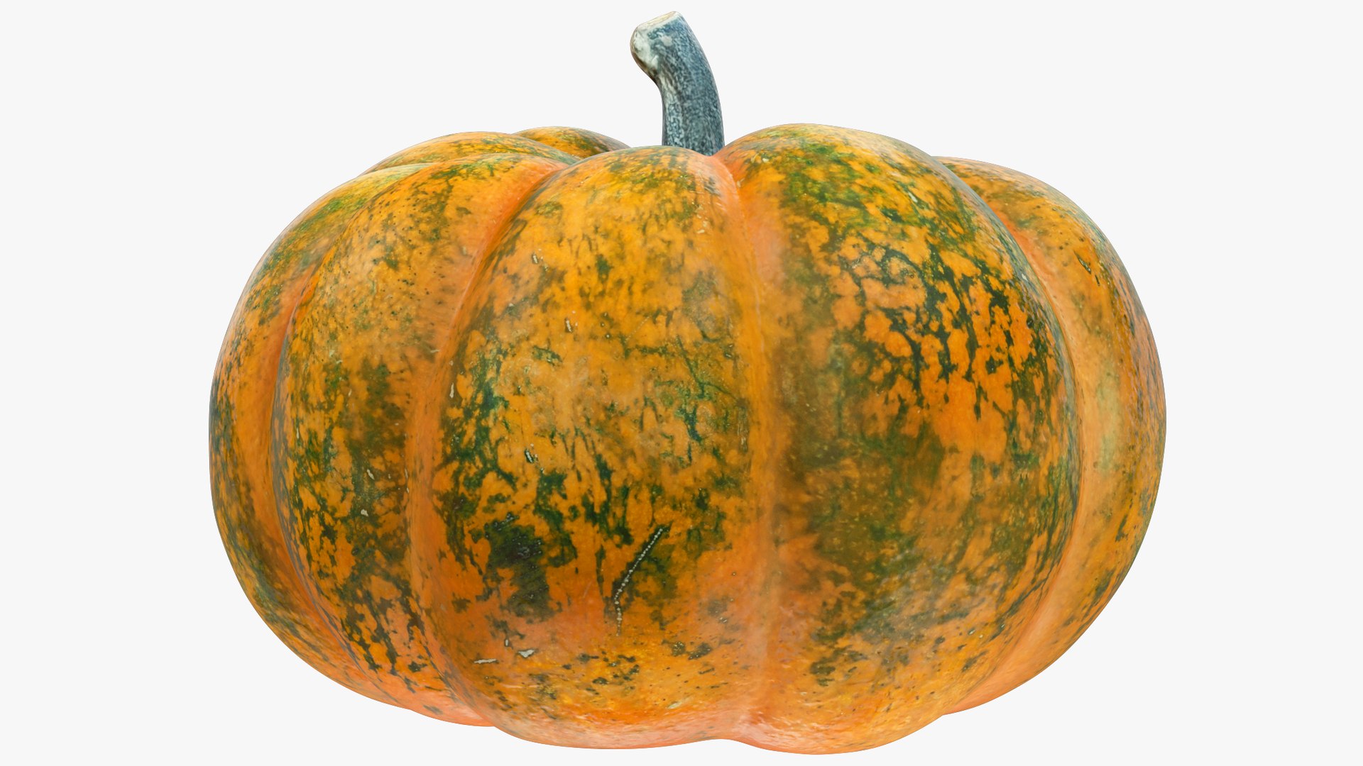 3D Pumpkins Collection V4 https://p.turbosquid.com/ts-thumb/VP/RH281C/dB/p7_004_011/png/1701127850/1920x1080/fit_q87/623a2fab023f4d6e0b3074ac09f5ab0d7de2e0b5/p7_004_011.jpg