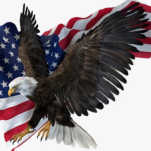 realistic eagle rigged america model