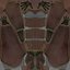 Man and Woman in Skydiving Boots 46