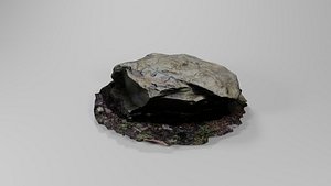 Big Scanned Rock