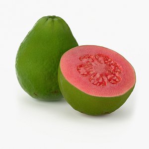 realistic guava fruit real 3d max