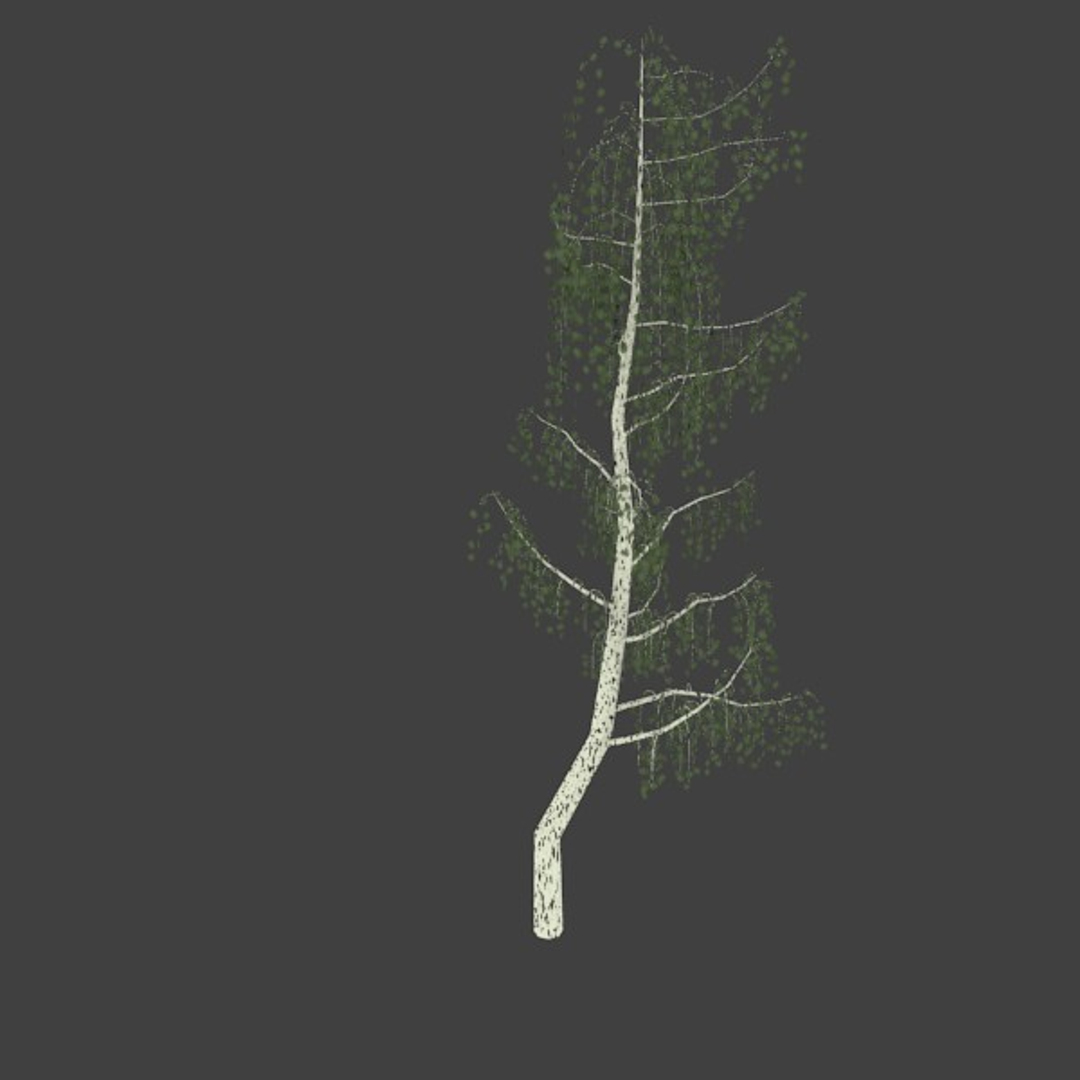 3d birch https://p.turbosquid.com/ts-thumb/VQ/663wl9/50tmtMCR/1/jpg/1363545340/1920x1080/turn_fit_q99/cd712e3d7b95ebf9e0cfc890e499b235897b4bcc/1-1.jpg