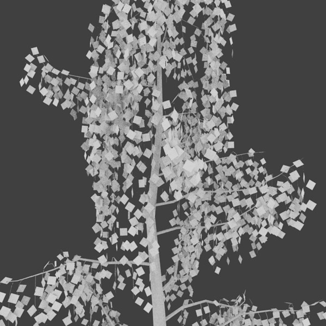 3d birch https://p.turbosquid.com/ts-thumb/VQ/663wl9/iZKULq3b/4/jpg/1363545284/1920x1080/fit_q87/5b2593220b3581bec816f77315138660a2427881/4.jpg