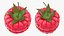 Colección de frutas de dibujos animados 4