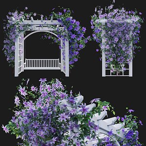 3D Clematis Aotearoa - Creeper Swing model