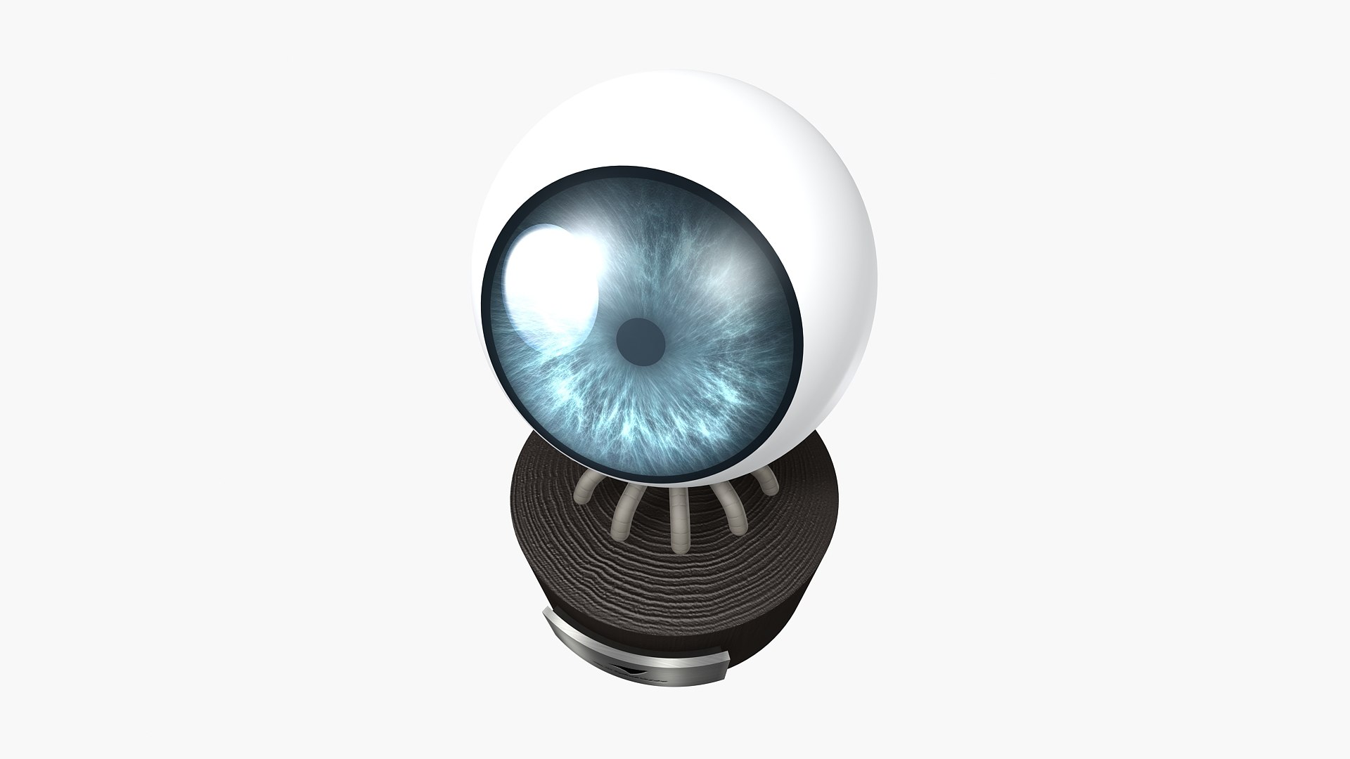 Eyeball Monster 3D model https://p.turbosquid.com/ts-thumb/VQ/IbXLSq/hc/eyeballmonsterview11/jpg/1677609603/1920x1080/fit_q87/952ff30feb23482d7e13e12ba817b89835c5af82/eyeballmonsterview11.jpg