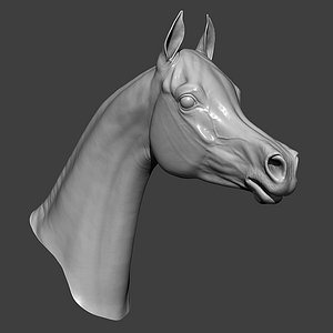 3D Horse Head Highpoly Sculpt model