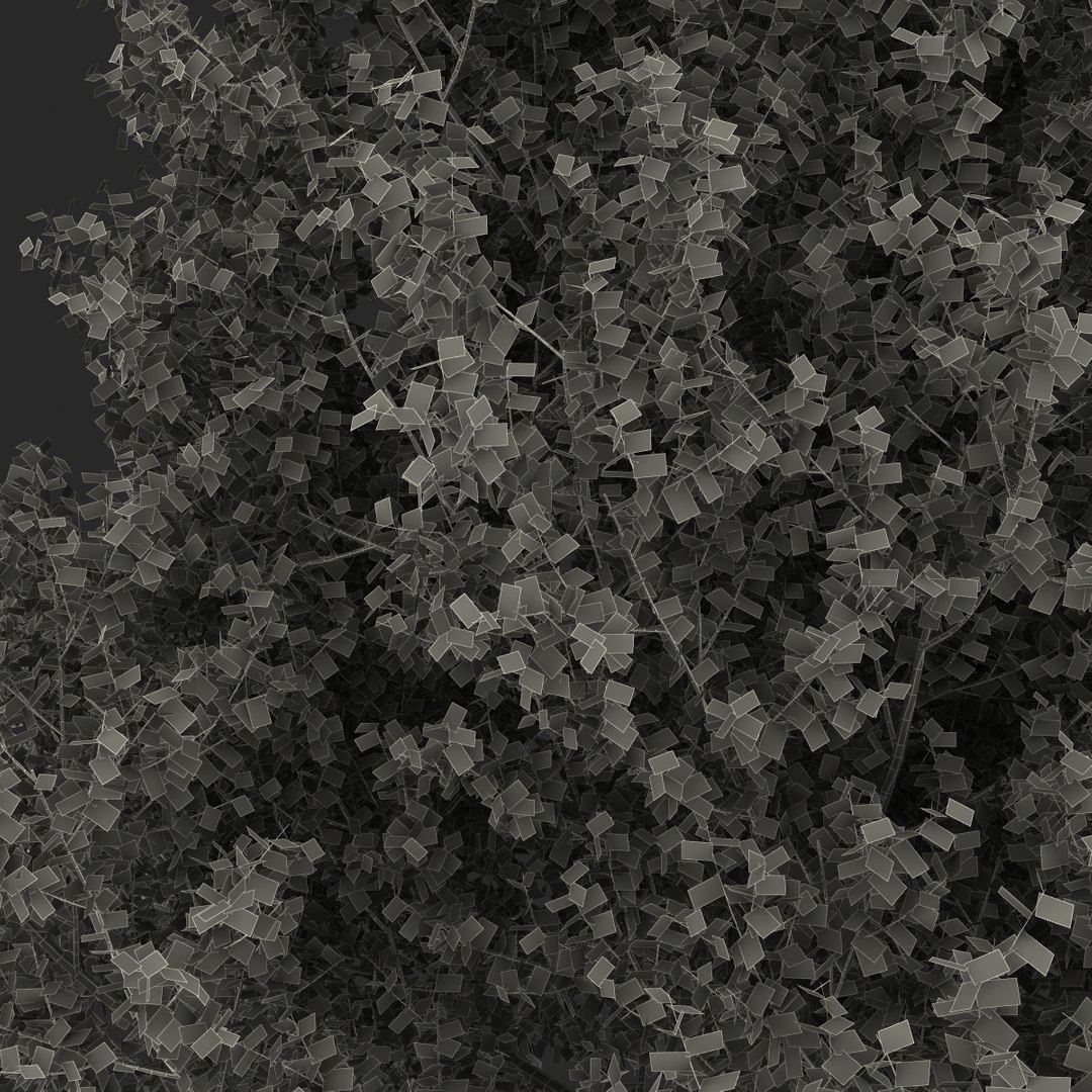 max yellow poplar tree https://p.turbosquid.com/ts-thumb/VQ/OKwEoJ/DfmhAvqF/yellowpoplartree_33/jpg/1393020853/1920x1080/fit_q87/9b262185ab10eb2eeab452467860200fd6c9ea10/yellowpoplartree_33.jpg