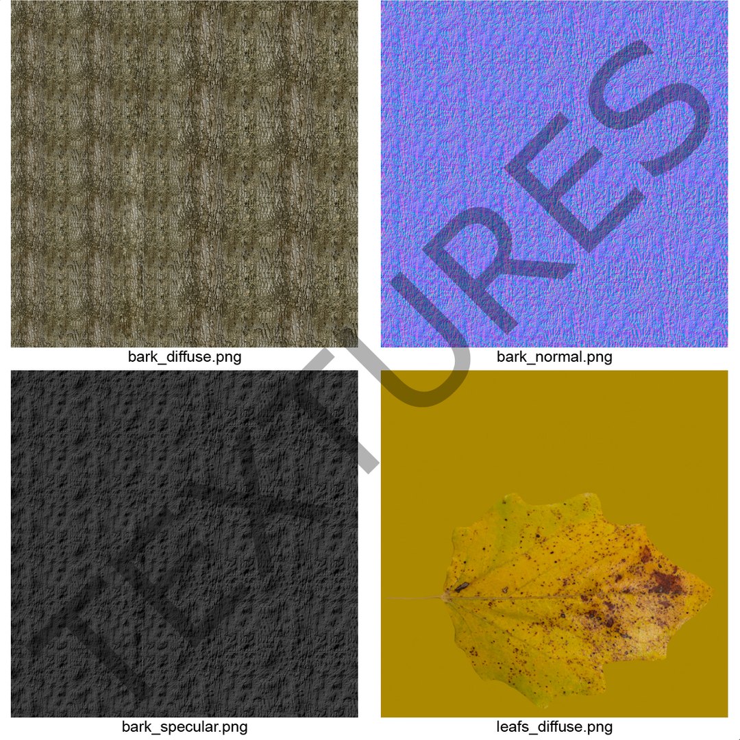 max yellow poplar tree https://p.turbosquid.com/ts-thumb/VQ/OKwEoJ/qHrcafpj/yellowpoplartree_5/jpg/1393020749/1920x1080/fit_q87/e7c268ead66fba9e04193acbedf2504997fc95f7/yellowpoplartree_5.jpg