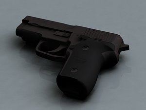 Sig Sauer P228