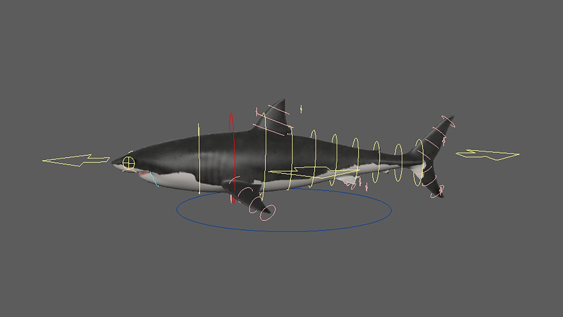 Shark Riggied 3D Model - TurboSquid 2381954