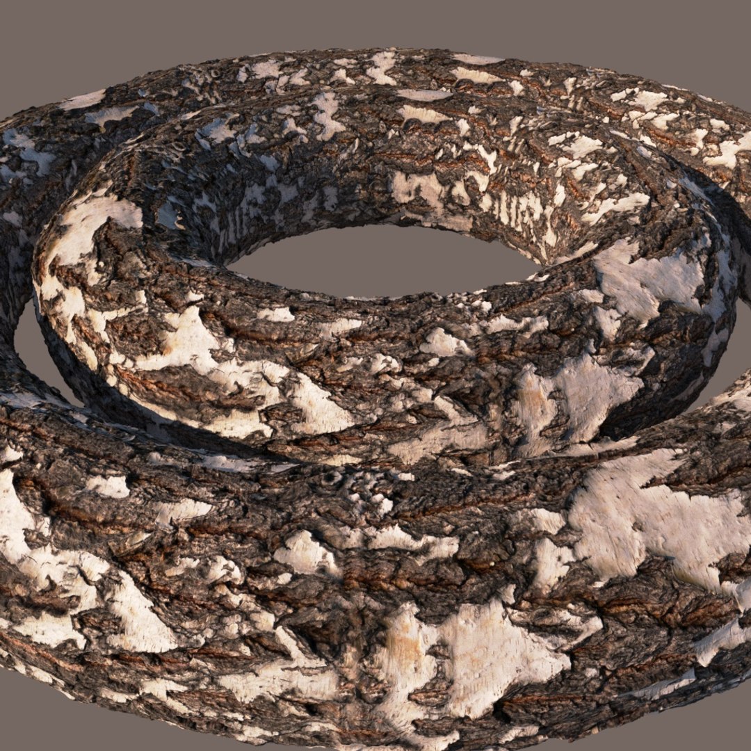 3D Model Birch Bark 8k - TurboSquid 1166474