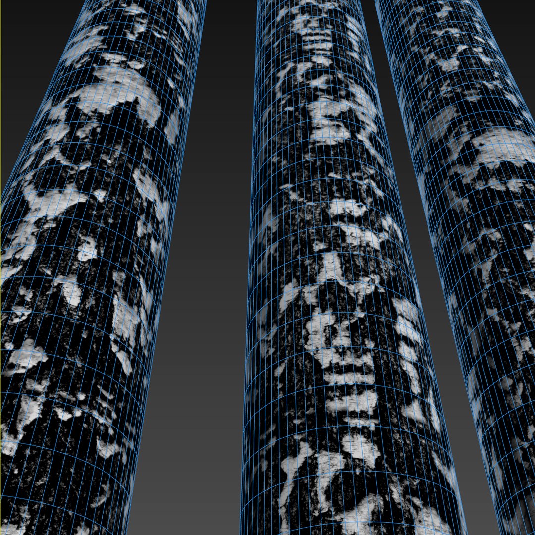 3D Model Birch Bark 8k - TurboSquid 1166474