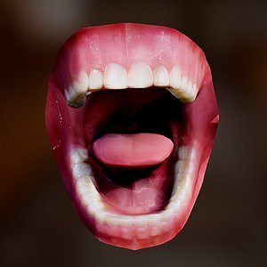 human mouth 3D model