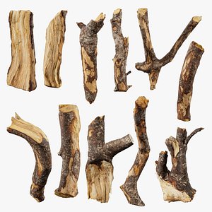 Scanned Tree Wood Collection 3D model