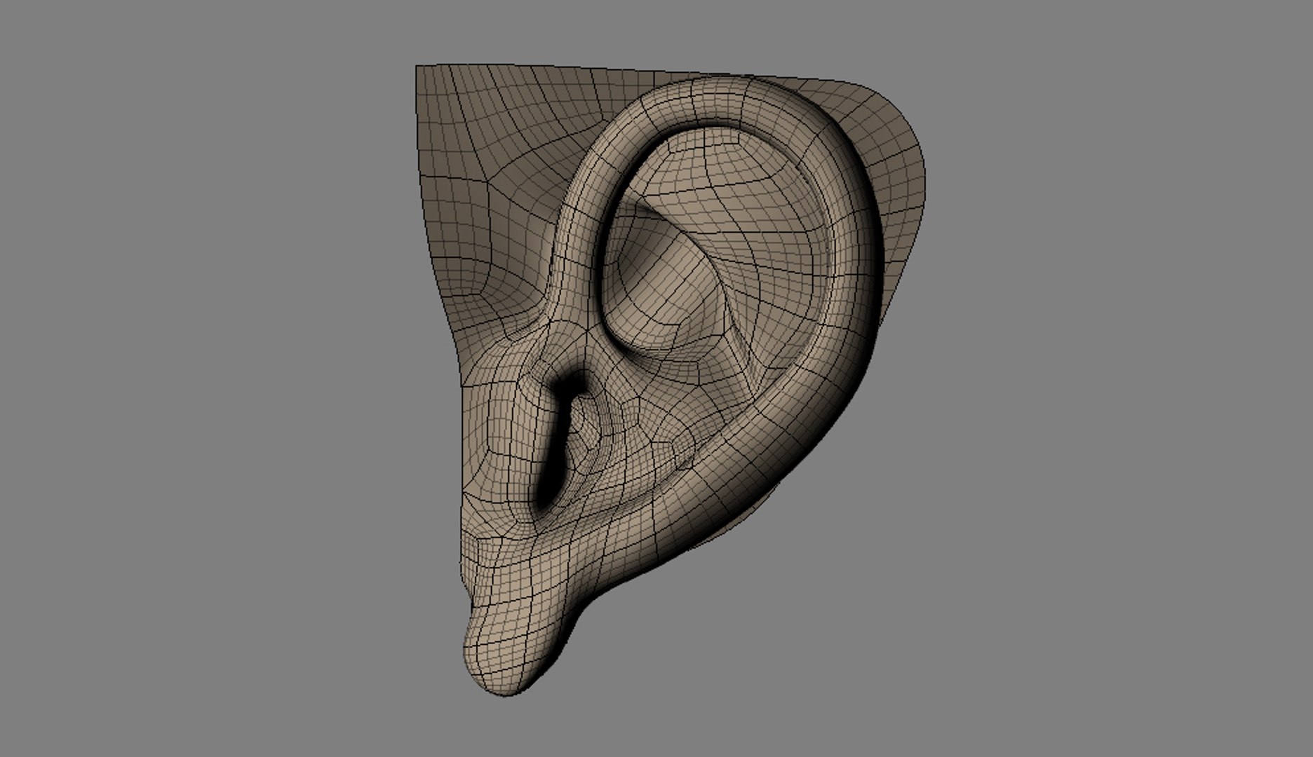 3d human ear model https://p.turbosquid.com/ts-thumb/VR/R8VhjO/CGYwWXVA/side_view_subdivided/jpg/1486751360/1920x1080/fit_q87/afe556150a2e6748281dc4db48b382d9f3071f1e/side_view_subdivided.jpg