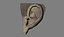 Ear