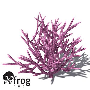 3d model xfrogplants birds nest coral
