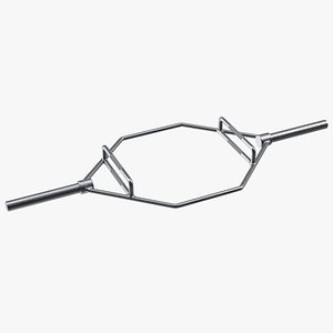 3D Olympic Hex Weight Lifting Trap Bar model