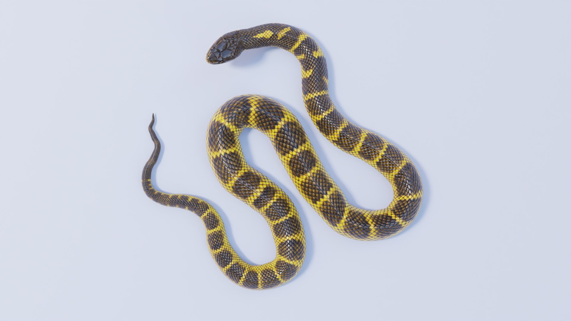 Snake vr clearance