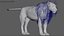 3D Lion Rigged Fur 3D