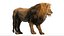 3D Lion Rigged Fur 3D