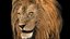 3D Lion Rigged Fur 3D