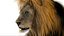 3D Lion Rigged Fur 3D