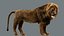 3D Lion Rigged Fur 3D