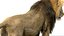 3D Lion Rigged Fur 3D