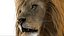 3D Lion Rigged Fur 3D