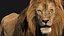 3D Lion Rigged Fur 3D