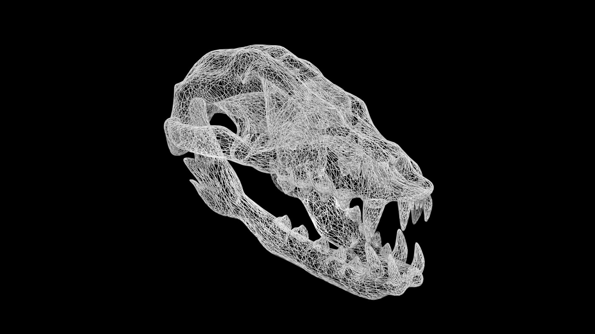 3D Rigged Fox Skull - TurboSquid 1885060