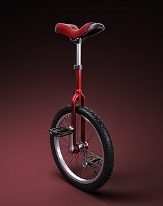 Unicycle
