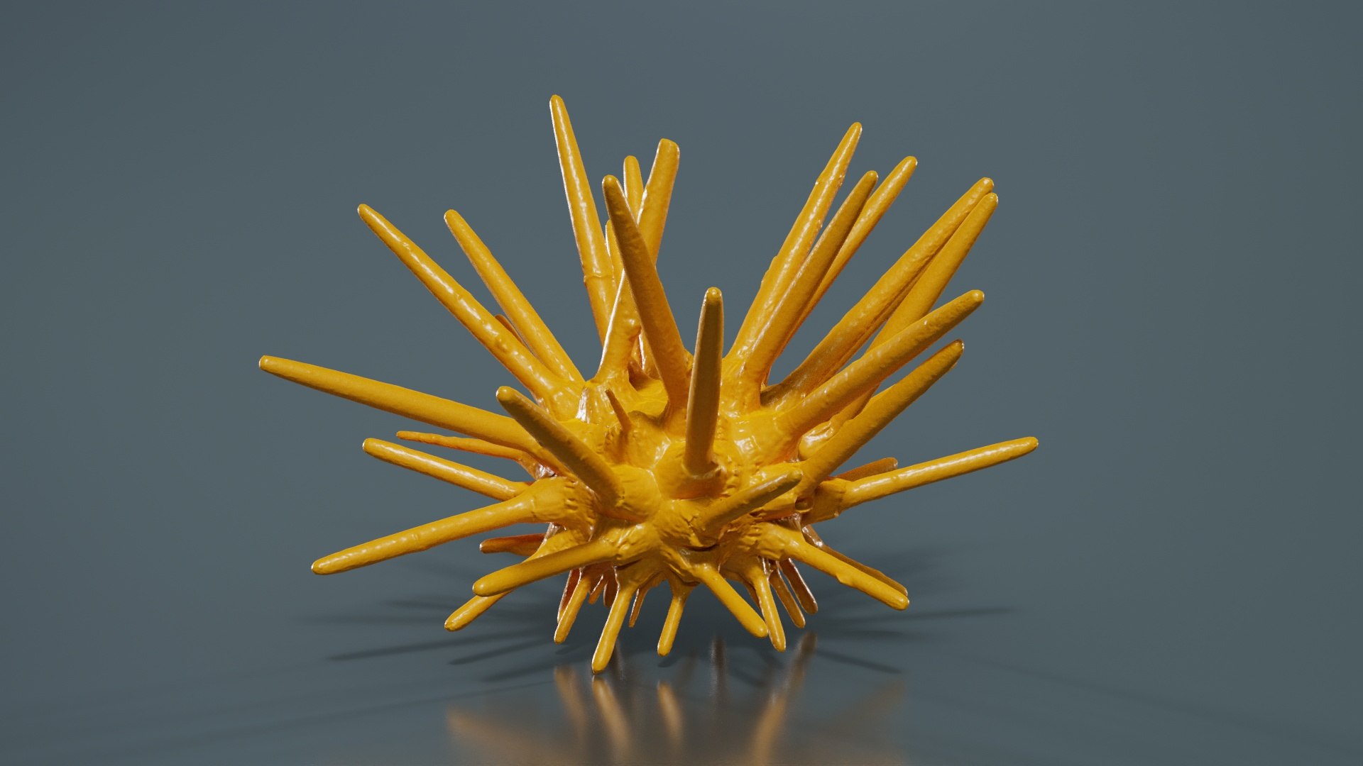 3D model Lance Urchin Phyllacanthus Imperialis Remastered https://p.turbosquid.com/ts-thumb/VR/xsrMf6/eb/lance_urchin_phyllacanthus_imperialis_13/jpg/1740078734/1920x1080/fit_q87/af8384b47054d69598006c11c3c0455173fb99d7/lance_urchin_phyllacanthus_imperialis_13.jpg