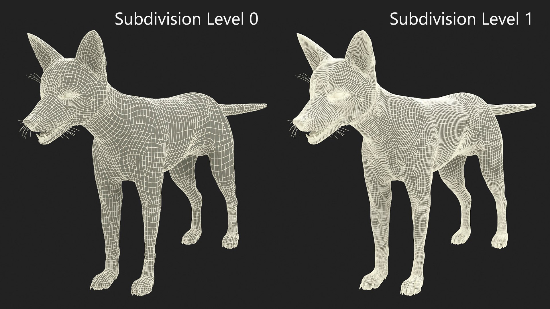 3D Red Fox Base Pose Fur https://p.turbosquid.com/ts-thumb/VS/2Qfvu9/ZQ/redfoxbaseposefurvray3dmodel018/jpg/1706540710/1920x1080/fit_q87/1b835fe2451f0ba3078eac82a9567da3ad86ad95/redfoxbaseposefurvray3dmodel018.jpg