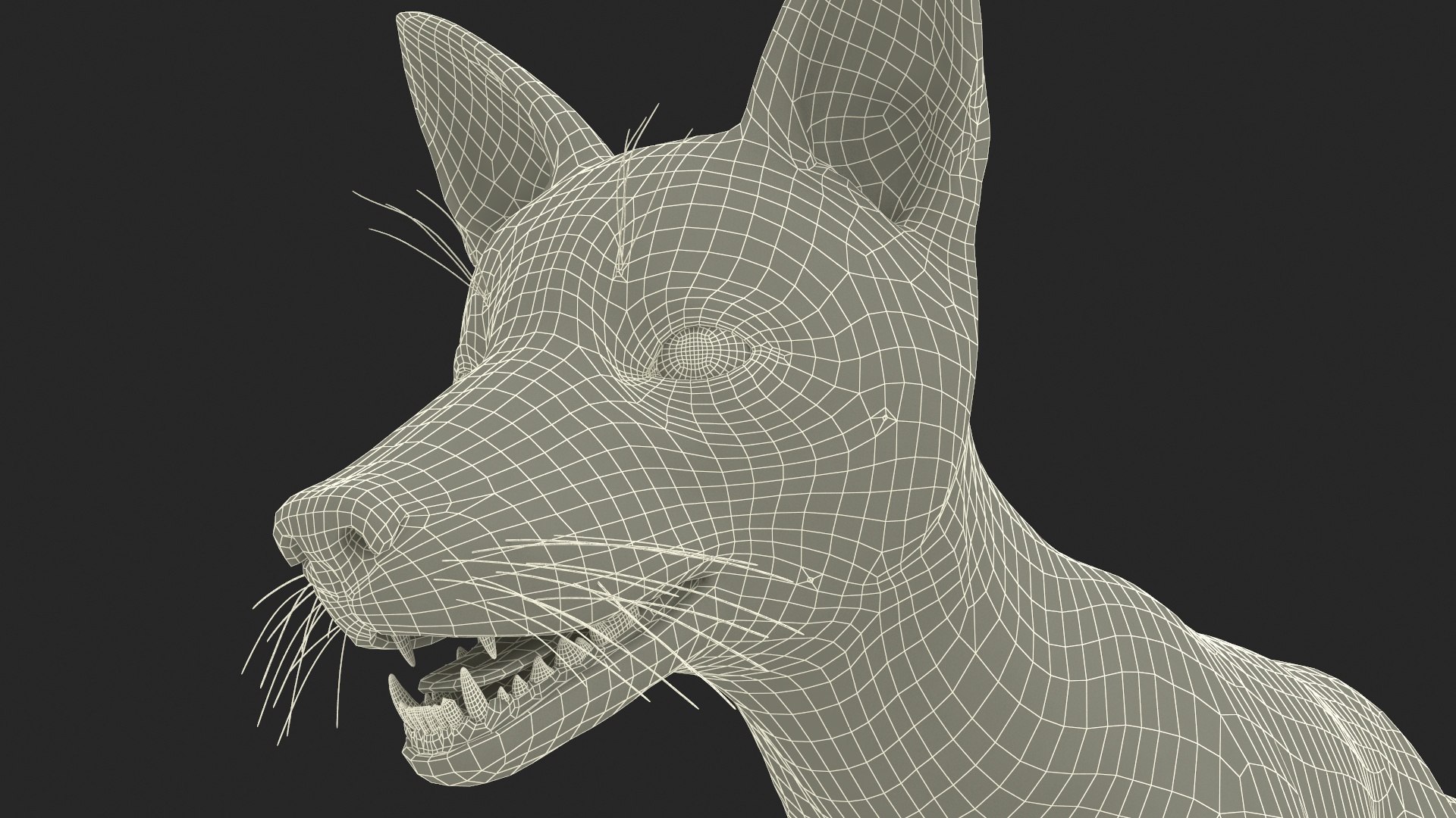 3D Red Fox Base Pose Fur https://p.turbosquid.com/ts-thumb/VS/2Qfvu9/fH/redfoxbaseposefurvray3dmodel025/jpg/1706540744/1920x1080/fit_q87/07f620e3b5d6b3a19e28b9c4c05af883bbc45988/redfoxbaseposefurvray3dmodel025.jpg