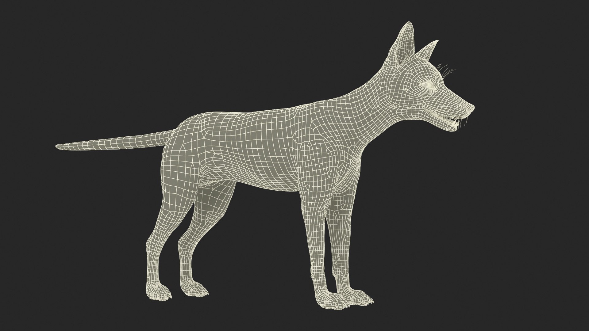 3D Red Fox Base Pose Fur https://p.turbosquid.com/ts-thumb/VS/2Qfvu9/rU/redfoxbaseposefurvray3dmodel027/jpg/1706540754/1920x1080/fit_q87/54b4b42b1053d938c67ae4eba75ed32222bd9ada/redfoxbaseposefurvray3dmodel027.jpg