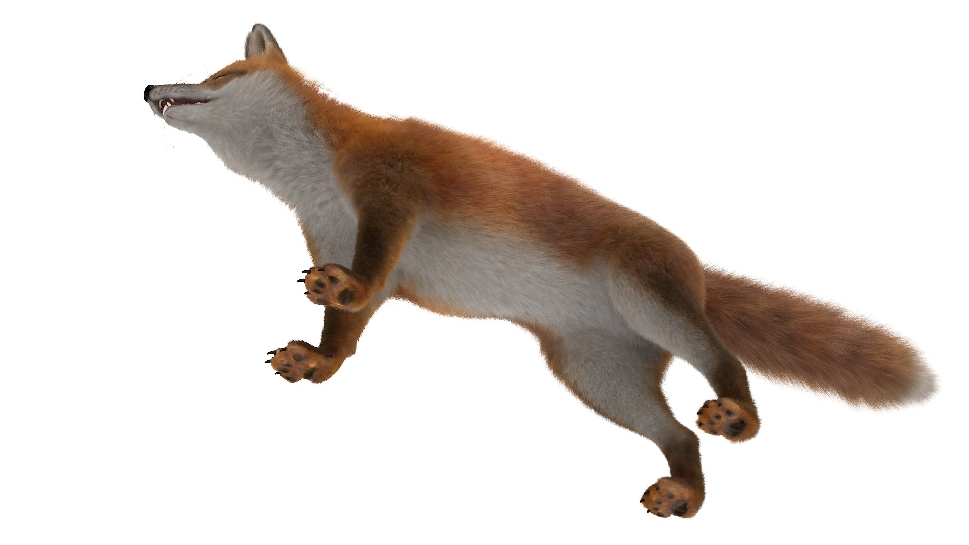 3D Red Fox Base Pose Fur https://p.turbosquid.com/ts-thumb/VS/2Qfvu9/zo/redfoxbaseposefurvray3dmodel014/jpg/1706540688/1920x1080/fit_q87/db0b67b6ba230cd6f6c06b1de12a0662a90ab9bf/redfoxbaseposefurvray3dmodel014.jpg