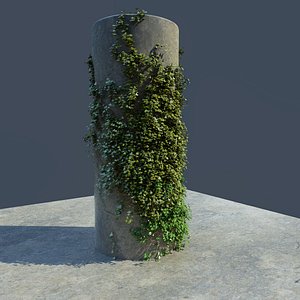 free ivy scene 3d model