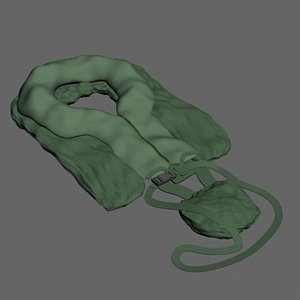 LifeVest