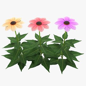 3D flower dahlia happy