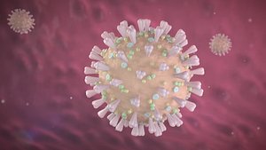 Sars Covid-19 in detail