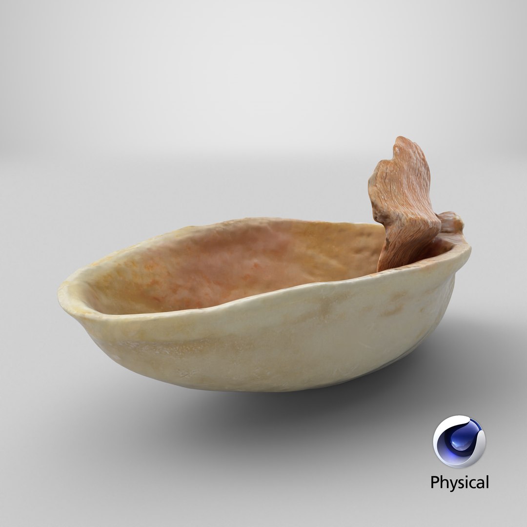 Empty Pistachio Shell 01 model https://p.turbosquid.com/ts-thumb/VS/bQZERI/KY/stemcell_cinema_4d_physical_render/png/1755579118/1920x1080/fit_q87/7ebed0f6f11005572e51f271c2caf5e878a70e1a/stemcell_cinema_4d_physical_render.jpg