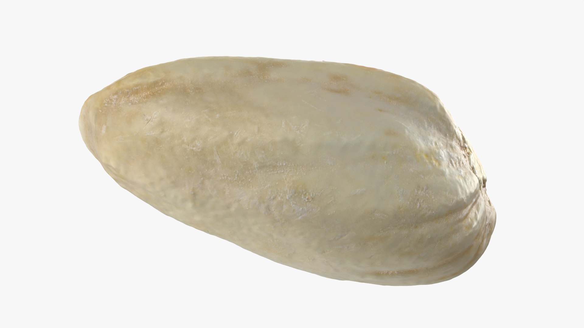 Empty Pistachio Shell 01 model https://p.turbosquid.com/ts-thumb/VS/bQZERI/NF/pistachioshell1_0003/png/1755073646/1920x1080/fit_q87/713310ee75b67a4fec4744715dfc9fcbc3c9910c/pistachioshell1_0003.jpg