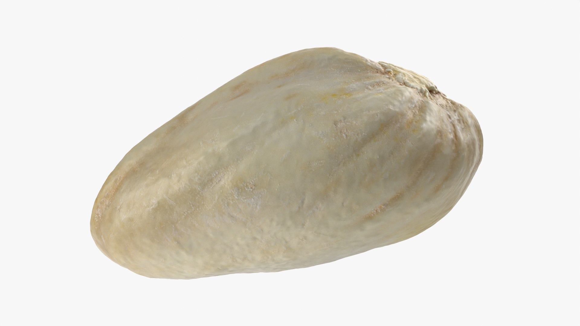 Empty Pistachio Shell 01 model https://p.turbosquid.com/ts-thumb/VS/bQZERI/gN/pistachioshell1_0012/png/1755073656/1920x1080/fit_q87/d8079b270f35d85ace7443dafc012a78a9473c92/pistachioshell1_0012.jpg