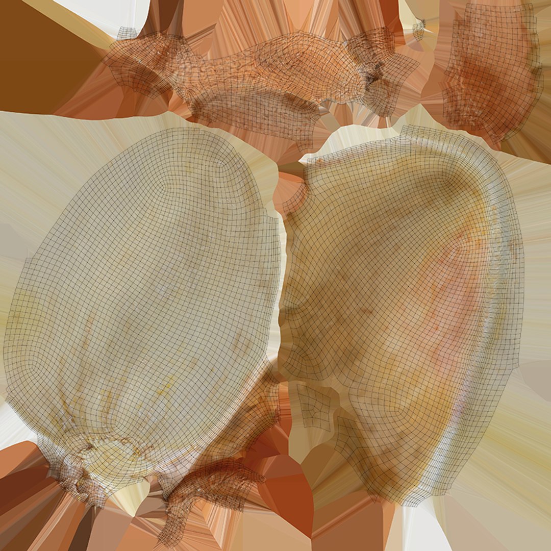 Empty Pistachio Shell 01 model https://p.turbosquid.com/ts-thumb/VS/bQZERI/mx/pistachioshell1_c0004/png/1755073657/1920x1080/fit_q87/776151036352ba951877eb41bea56f47e46c5ac7/pistachioshell1_c0004.jpg