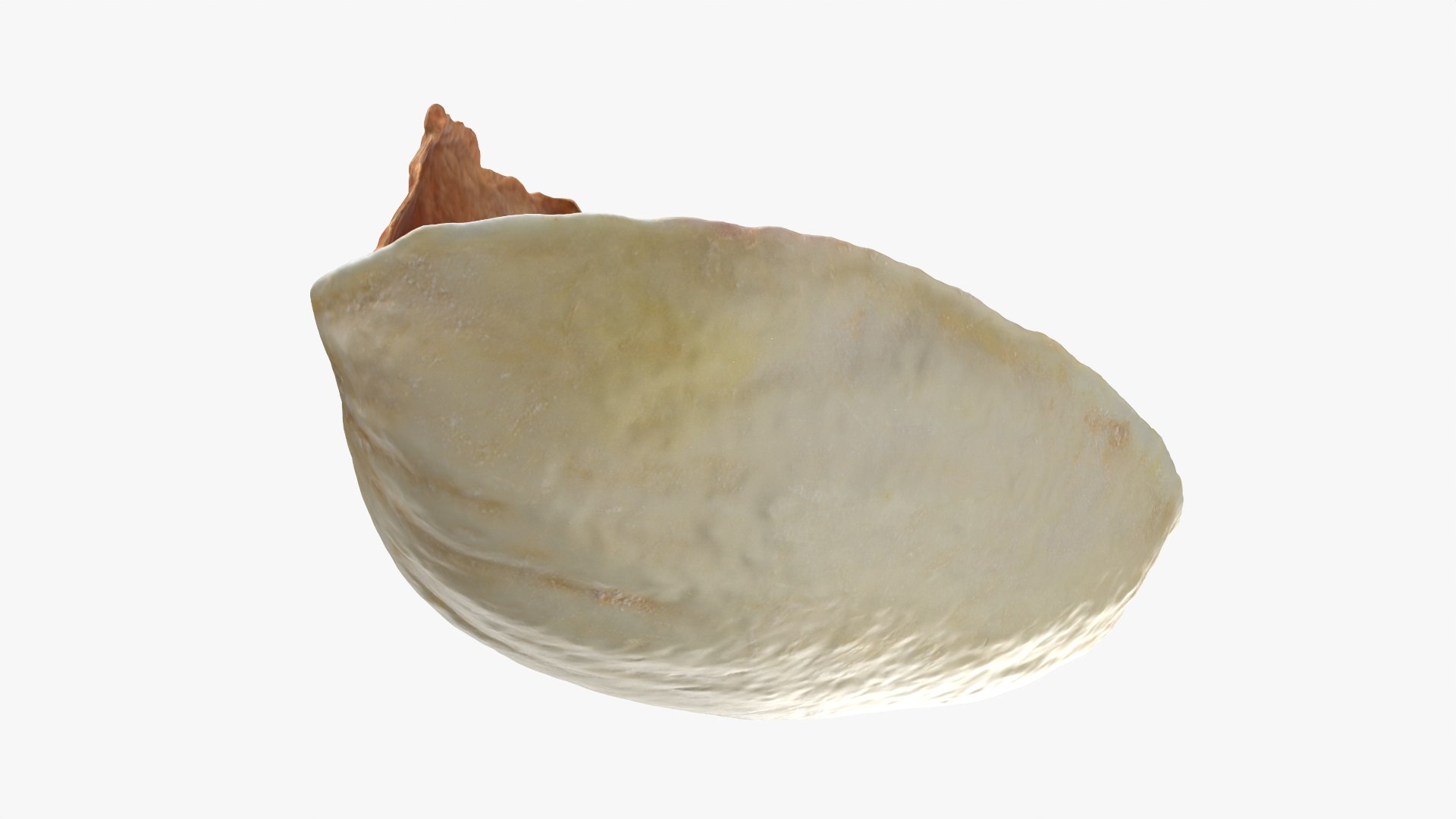 Empty Pistachio Shell 01 model https://p.turbosquid.com/ts-thumb/VS/bQZERI/rZ/pistachioshell1_0006/png/1755073650/1920x1080/fit_q87/663d0ea293c785e4fe76ec87f92dc3fce80b376c/pistachioshell1_0006.jpg