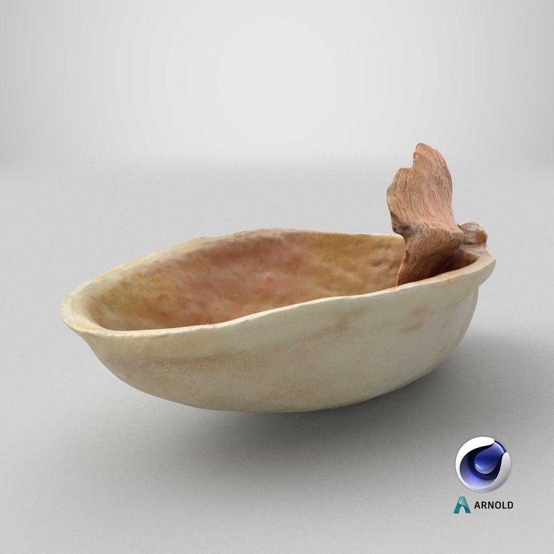 Empty Pistachio Shell 01 model https://p.turbosquid.com/ts-thumb/VS/bQZERI/u8/stemcell_cinema_4d_arnold_render/png/1755579116/1920x1080/fit_q87/3b73eed048bb5081b70655a587b2a50b862a02eb/stemcell_cinema_4d_arnold_render.jpg